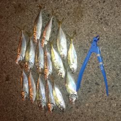 フル武装で行って来ました