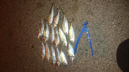 フル武装で行って来ました