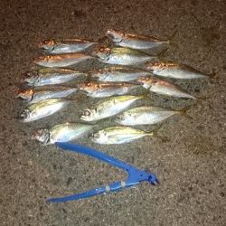 フル武装で行って来ました