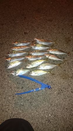 フル武装で行って来ました