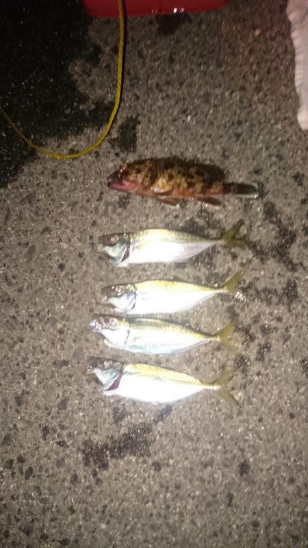 修行がたりません