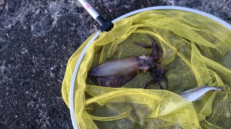 やっと、ｷﾀ━(ﾟ∀ﾟ)━!笑