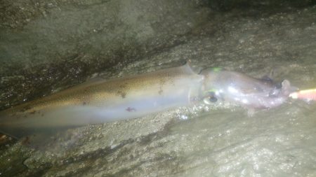 今期ラスト釣行！