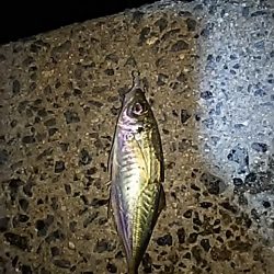 入魂に行ってきました。