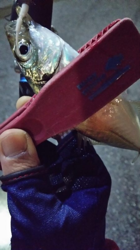 神戸港からランガン