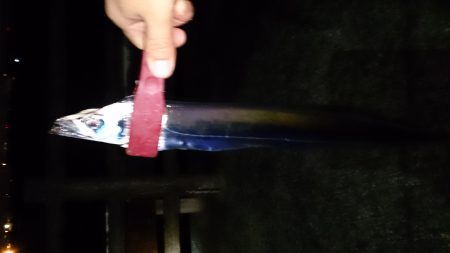 砂揚場にてアタリが少ないなか3本get