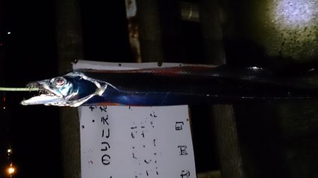 大津川尻高場で太刀魚1匹ゲット