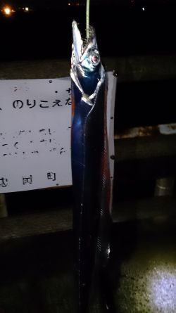 大津川尻高場で太刀魚1匹ゲット