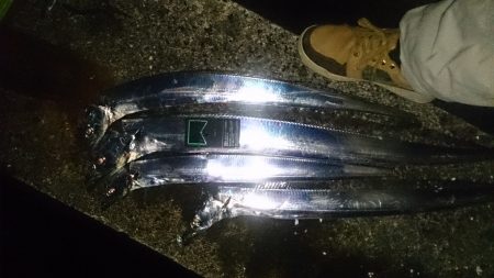 釣れるとデカい！が醍醐味