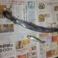 久しぶりの釣行です！