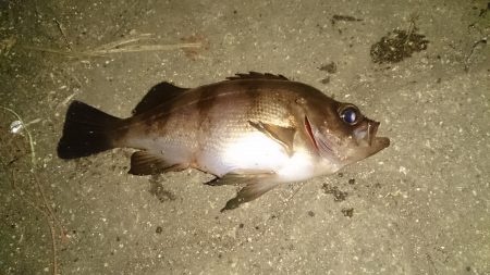 ショッピング帰りに