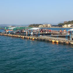 カタタの釣り堀でカンパチ、ゲット出きるか？