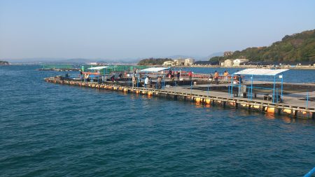 カタタの釣り堀でカンパチ、ゲット出きるか？…