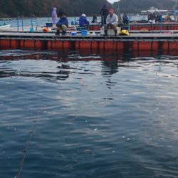 堅田に連日挑む！青物の食いは？