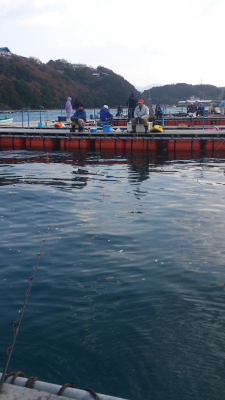 堅田に連日挑む！青物の食いは？