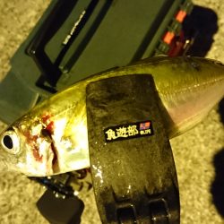 嵐の後の静けさ