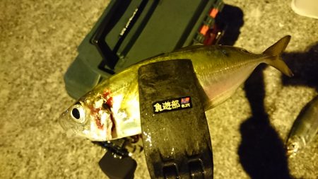 嵐の後の静けさ