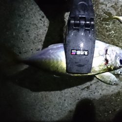 流星群見ながらの釣り