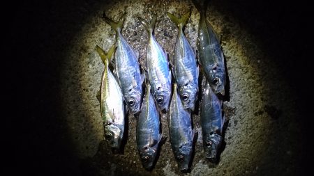 雨までアジング