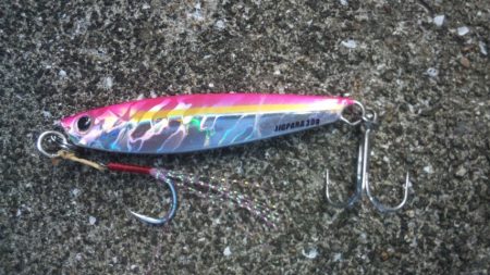 ショアジギング