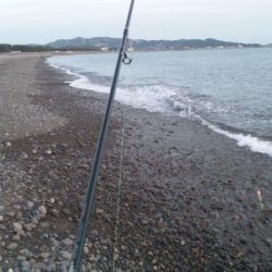 ショアジギング釣行