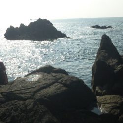 南紀にて渡船釣行！