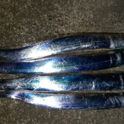 深夜のタチウオ