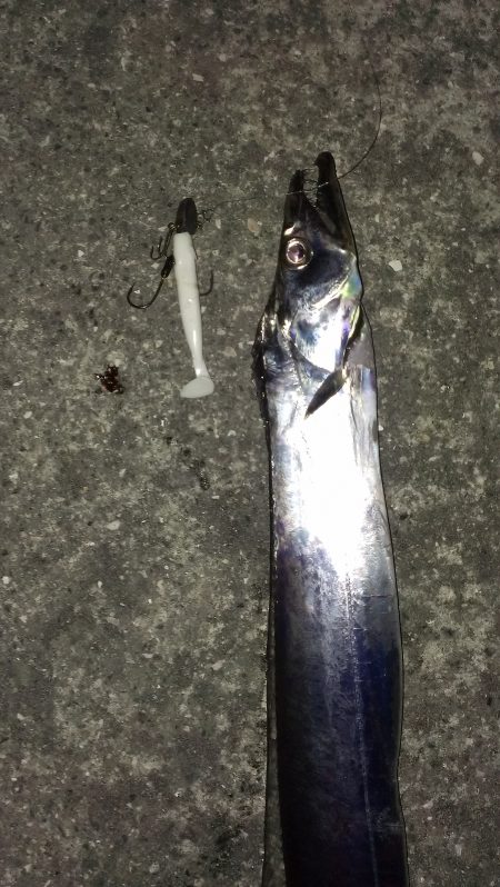 １日１本、エコな釣り？