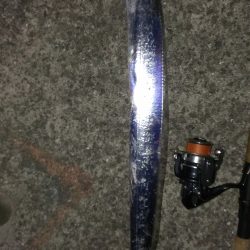 今日も１匹だけです… 。