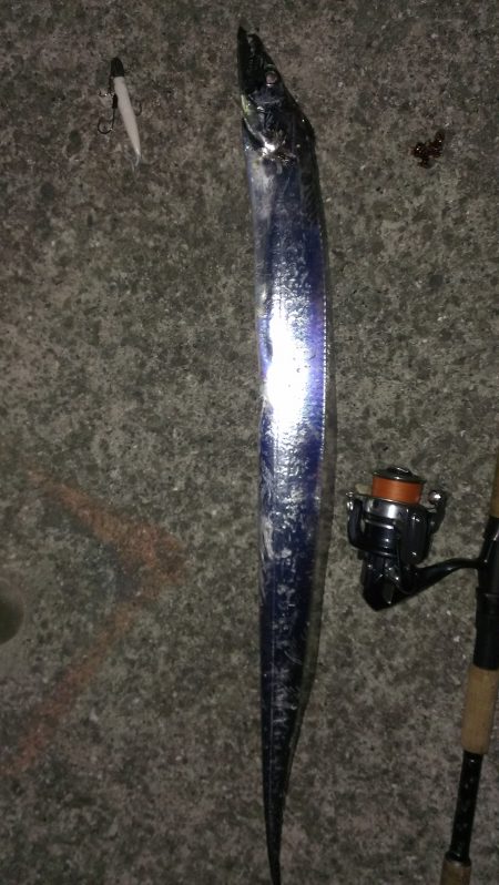 今日も１匹だけです... 。