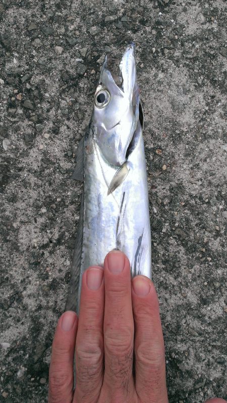 サイズダウン...