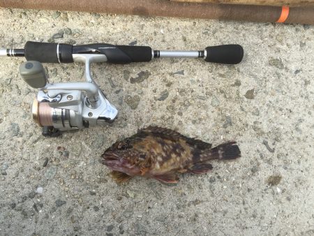 今年はこれで釣り納め？