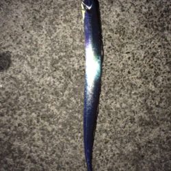 サーディンボール