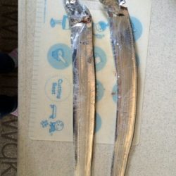 渋いけどまだまだいける