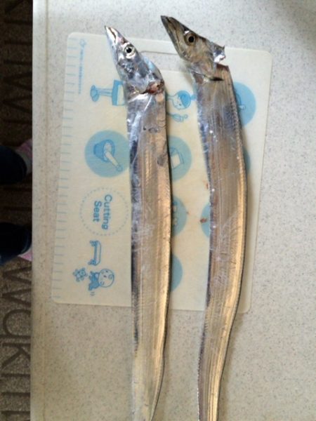 渋いけどまだまだいける