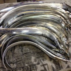 爆風の中、まずまず