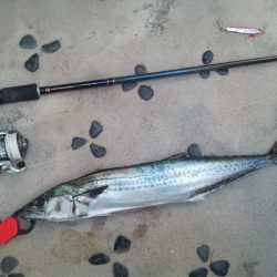 安定の親海公園♪