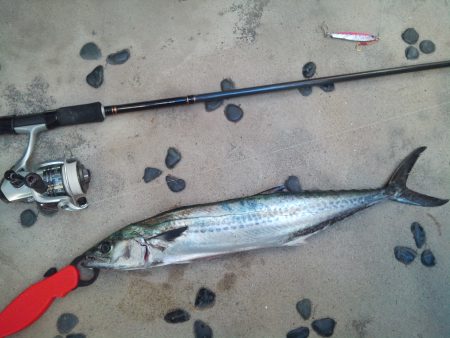 安定の親海公園♪