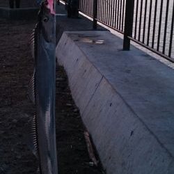 明け方に太刀魚1匹GET