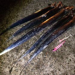 満月クリスマス・ナイト