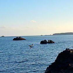 勝浦オジャ浦に釣行