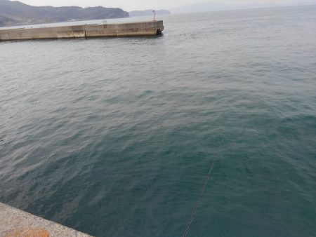 フカセ釣りにて。