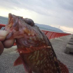 年末休みで早速