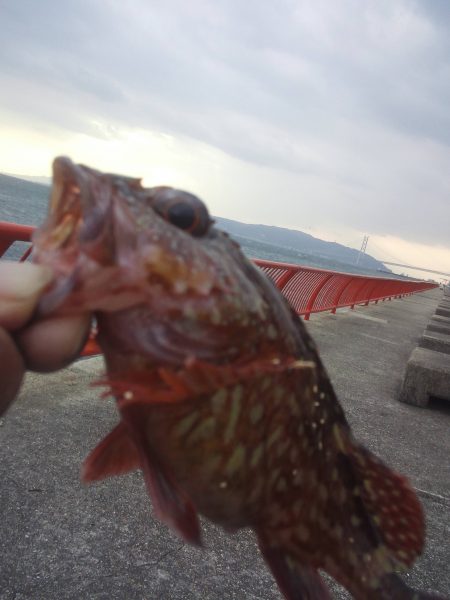 年末休みで早速