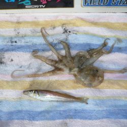 近場の二見でキス狙い