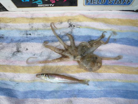 近場の二見でキス狙い