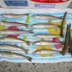 今シーズンラスト釣行(?)