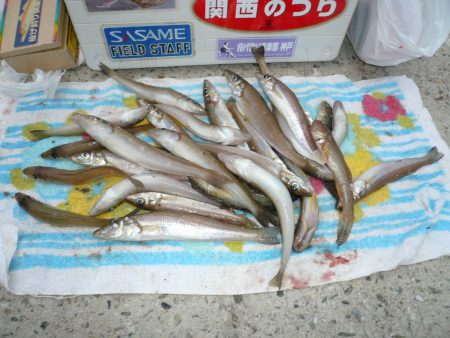 シーズンラスト釣行