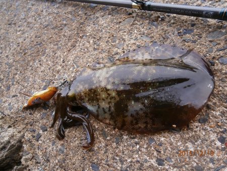 まだ釣れるかも♪