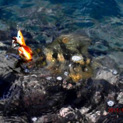 最後にドラマが・・・?